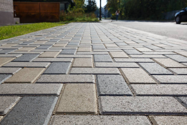 Best Driveway Paver Sealing  in Horizon West, FL