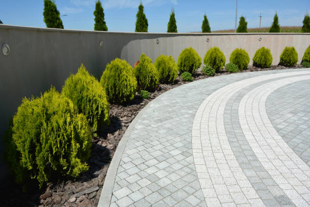 Best Professional Driveway Pavers  in Horizon West, FL